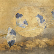 Emiliana Parati Voyage panel DB73702 – 1. kép