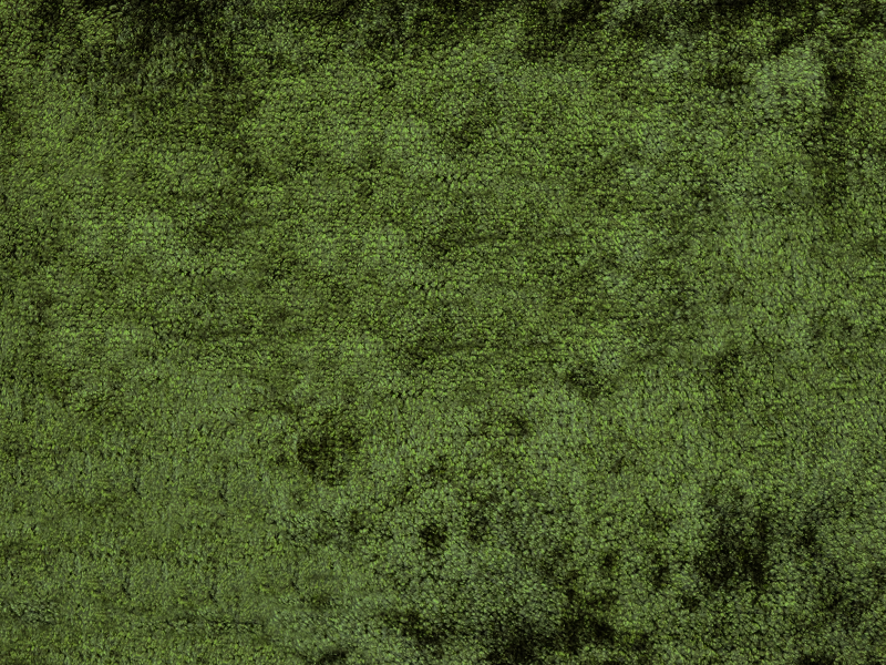 PRIVÉ MELANGE VELVET FR - 11 Mousse Vert