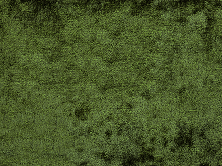 PRIVÉ MELANGE VELVET FR - 11 Mousse Vert