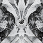 Philipp Plein 2 – Geometric Marble Panel